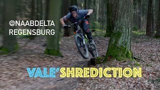Vale's Shradiction - MTB Riding Naabdelta 2017