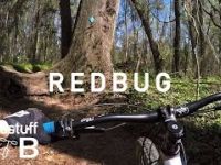 Mountain Biking Redbug Trail in Tallahassee, FL