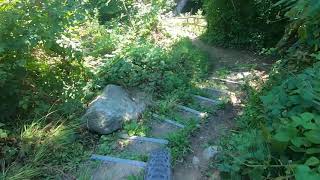 Trail Riding - Marbach 18.08.2019 - Bruggtobel