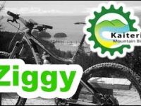 Ziggy - Kaiteriteri - NZ by Hugo