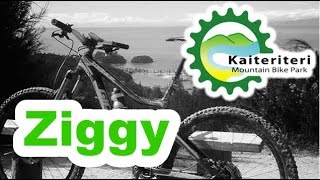 Ziggy - Kaiteriteri - NZ by Hugo