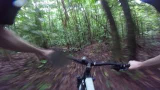 Wet 'n' Muddy | Cairns MTB