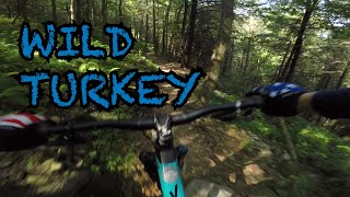 Wild Turkey - Blue Mountain Bike Park