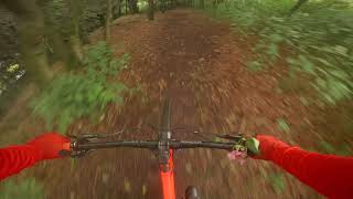 Callendar Park — Shaggers (Swaggers) — MTB...