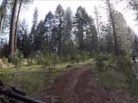 Trail 8 aka Flemming Meadows by Jenkinson...