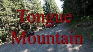 VOTR Tongue Mountain