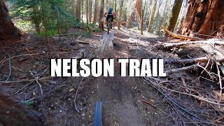 Nelson Trail