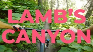Bring Your Weed Wacker - Lamb's Canyon