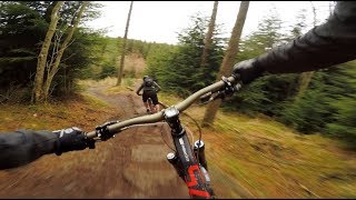 Hamsterley Forest Black and Red Trail Centre