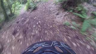 MTB Raw POV Jumps and drops - The Badgers,...