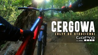 Cergowa - Żółty // Dukla, Beskid Niski, MTB
