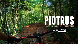 Piotruś - Piotruś // Zawadka Rymanowska,...