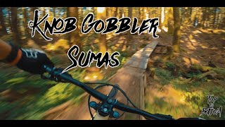 Knob Gobbler - Sumas Mountain 2019