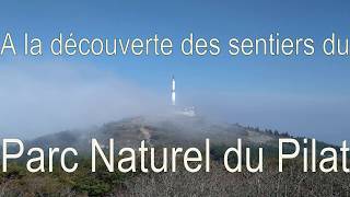 La Myrtille - Freeride Pilat