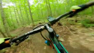 BLACK BEAR @ Kingdom Trails Moose Haven | THE...
