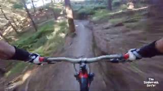 Tinker @ Eskdale Mountain Bike Park
