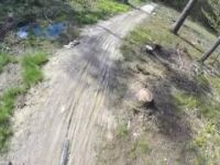 Zjazd Singlem Suliwoods Kross Trail Sulistrowiczki