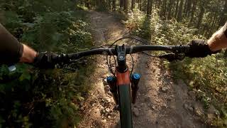 Hornberg Felsentrail POV