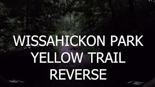 Night Rider // Wissahickon Yellow Trail Reverse