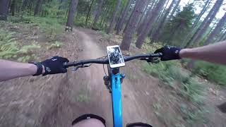 Larose Forest East Loop   Part 1