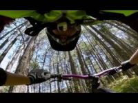 Molista MTB V