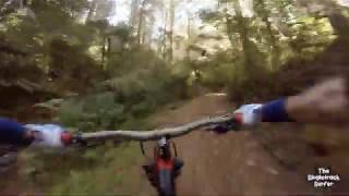 Dooza-Budgie-Slave-Stubbie @ 440 MTB Park