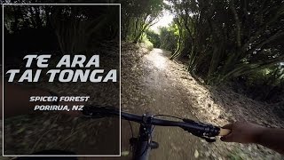 Te Ara Tai Tonga - Rangituhi Trail Park