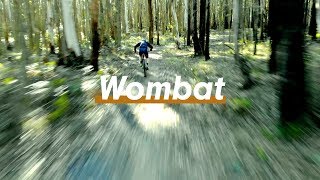MTB and CX riding in Wombat Mountain Bike Park