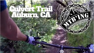 Mountain Biking Forrest Hill Connector Trail,...
