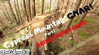 Cypress Mountain GNAR!     The least ridden...