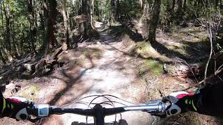The Stuminator Rides Blue Tier Trail, Derby...