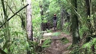 Wheelie sick ride at lake mangamahoe