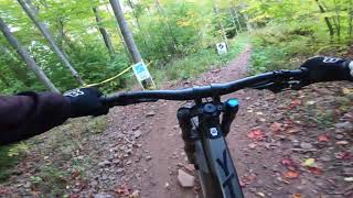 Windham's Citizens Down