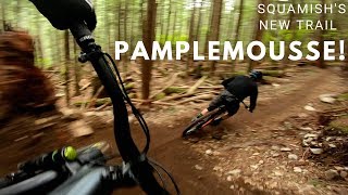 Incredible NEW Squamish trail has been 3 years...