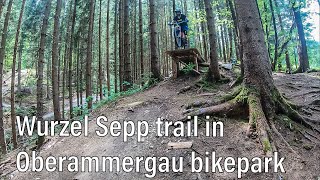 Wurzrel Sepp in Oberammergau bikepark