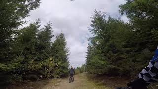 Marisel Bike Park- Magic Forrest Trail