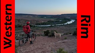 Desert Night Ride! Mountain Biking Western Rim...