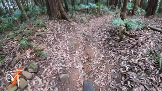 BULLI PASS - BIG BALLS