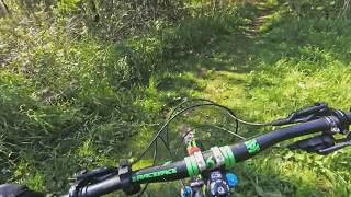 31 may 2019 Shansehytta Short trail