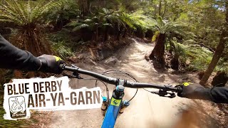 Blue Derby - Air-Ya-Garn - Jumps for days!...
