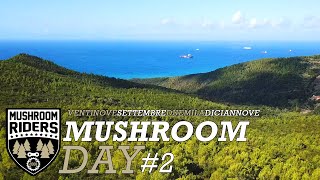 MUSHROOM DAY #2 // RADUNO MTB ENDURO LIVORNO