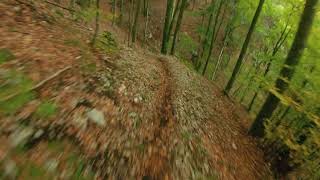 costa del mul trail (discesa da cima jouf...