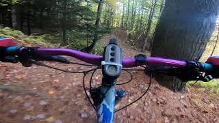 Cricket Hill Trails