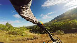 Limelight - NEW TRAIL - Corner Canyon