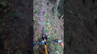 Kanada žiar - Kunerad Trails