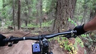 Pete's Dragon 9/13/2019 Sun Mountain