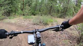 Magpie 9/13/2019 Sun Mountain