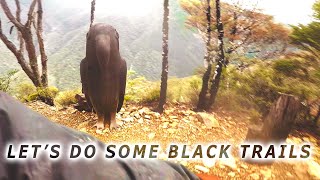 Wairoa Gorge : Some of the BLACKS | MTB Trail...