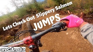 Lets Check Out Slippery Salmon   New Jumps in...