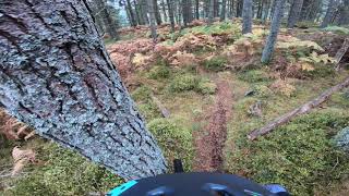 Friends Electric - Aboyne